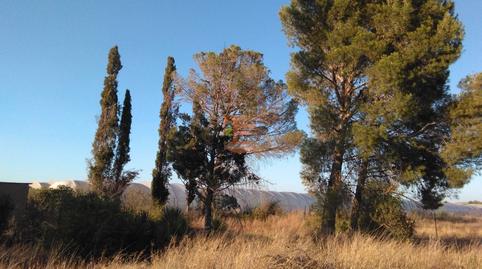 Photo 3 of Land for sale in Urbanización 19 Huertos Regao Peñaf, Peñaflor,  Zaragoza Capital