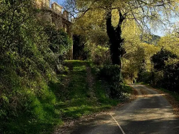 Landhaus mit Garten zum Verkauf in Carrer Unica;Ag. Merea 15, imagen 17