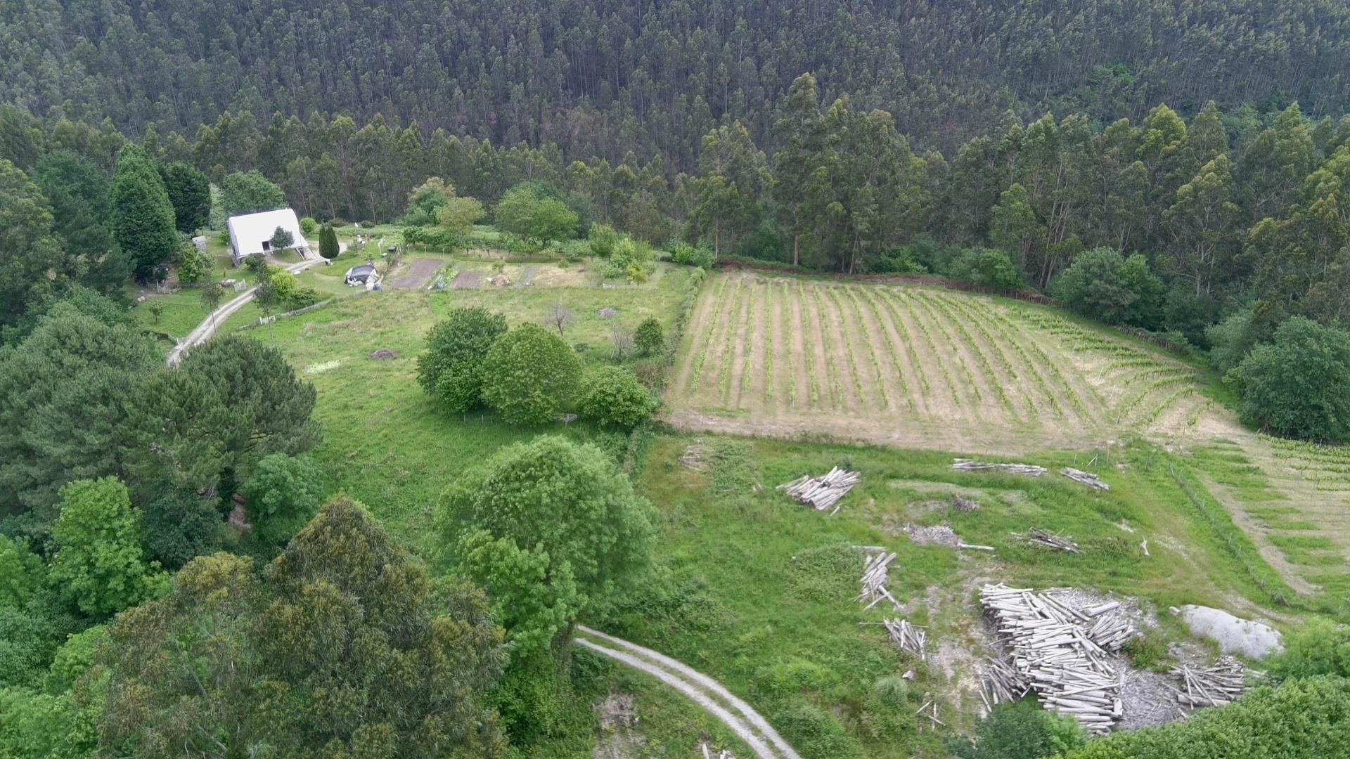 Land for sale in Mungia