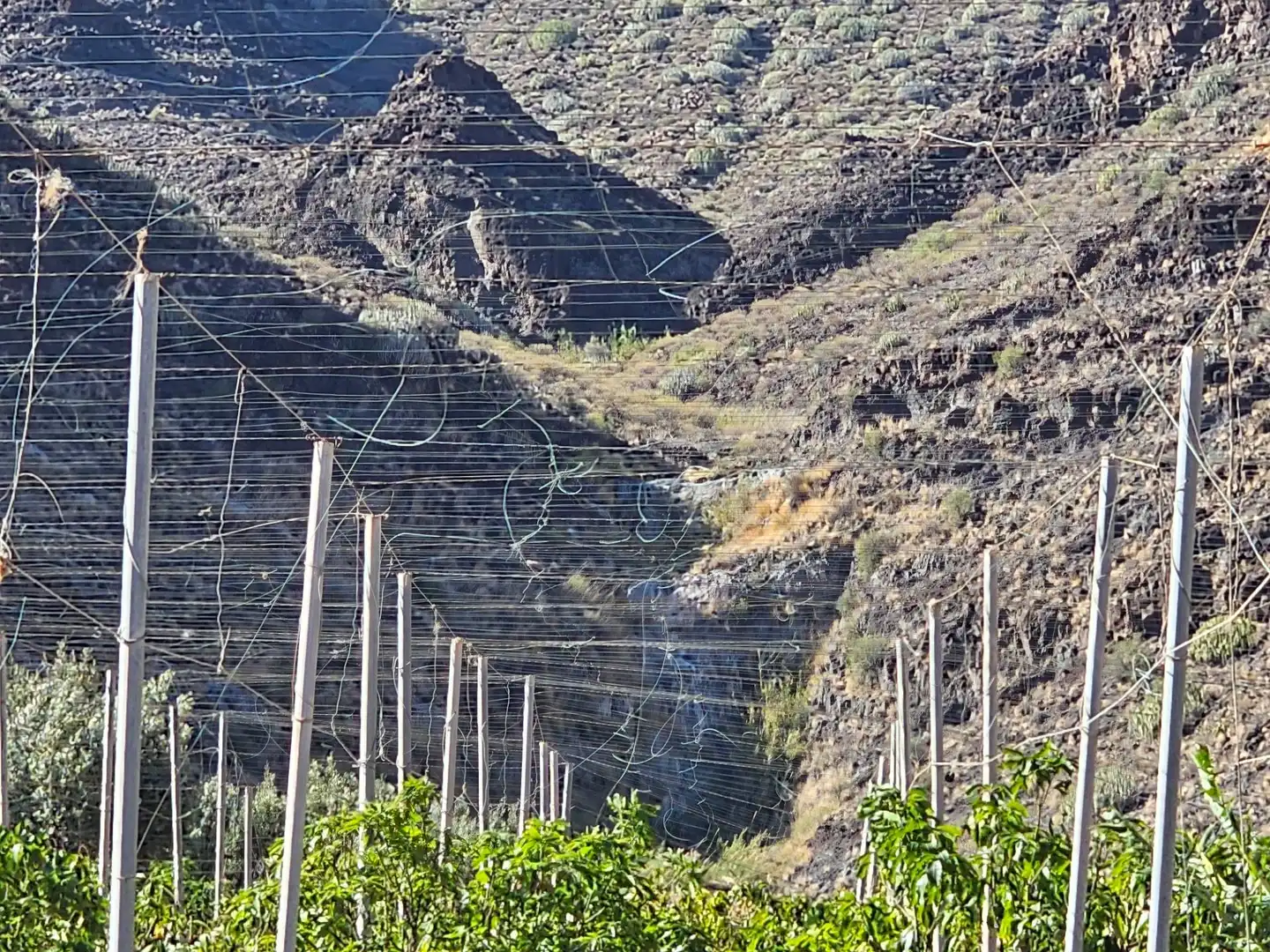 Vista exterior de Finca rústica en venta en La Aldea de San Nicolás  con Jardín privado, Terraza y Trastero