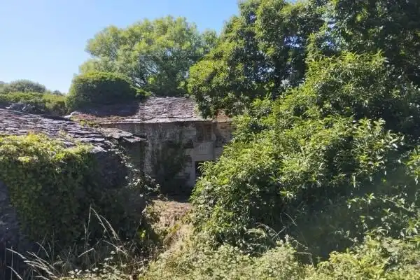 Vista exterior de Casa o chalet en venta en Begonte con Jardín privado