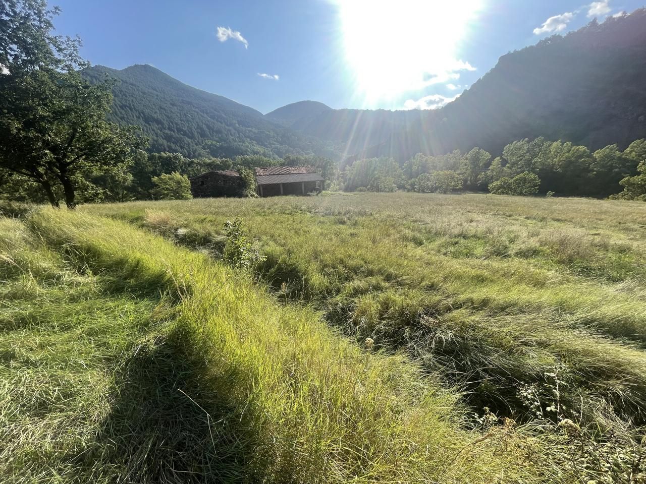 Land for sale in El Pont de Bar