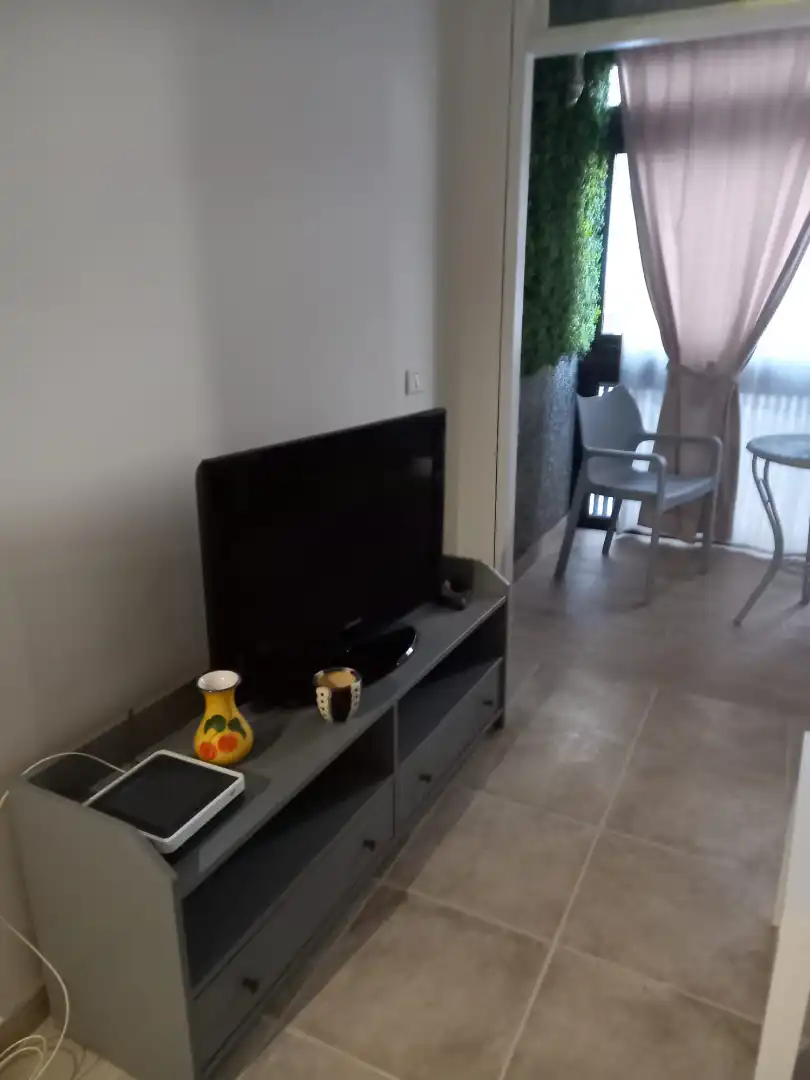 Sala de estar de Estudio de alquiler en Puerto de la Cruz con Amueblado, Horno y Lavadora