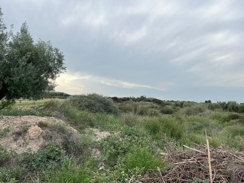Terreno rustico in vendita a Campo de Murcia