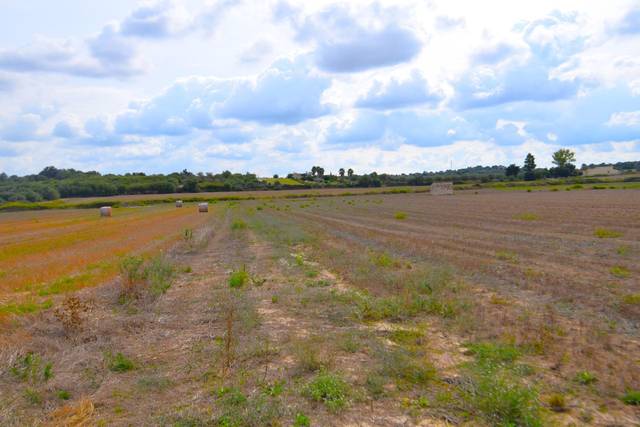 Terreno residencial en Venta en Muro