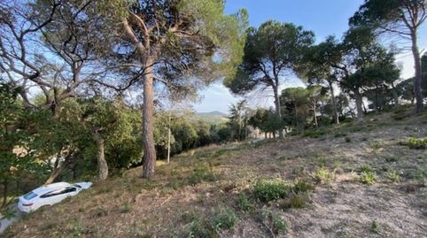 Foto 4 de Terreno en venta en Avenida Sant Daniel, Mas Mora - Sant Daniel, Tordera