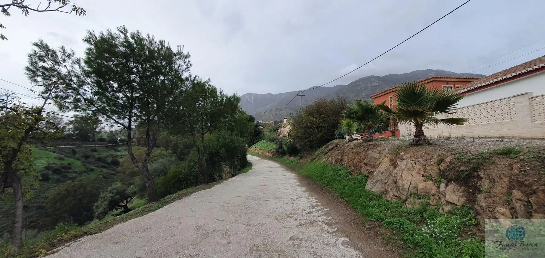 Vista exterior de Residencial en venta en Mijas