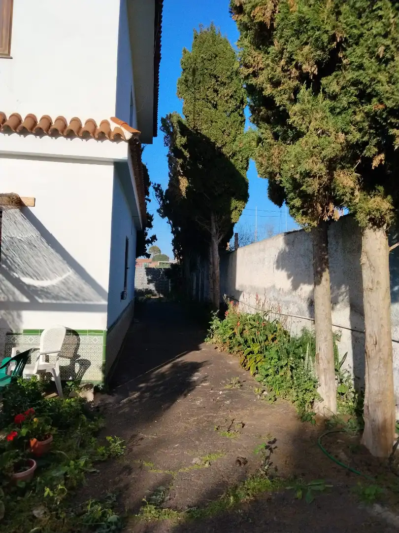 Villa mit Pool zum Verkauf in Camino de la Mina 10, imagen 60