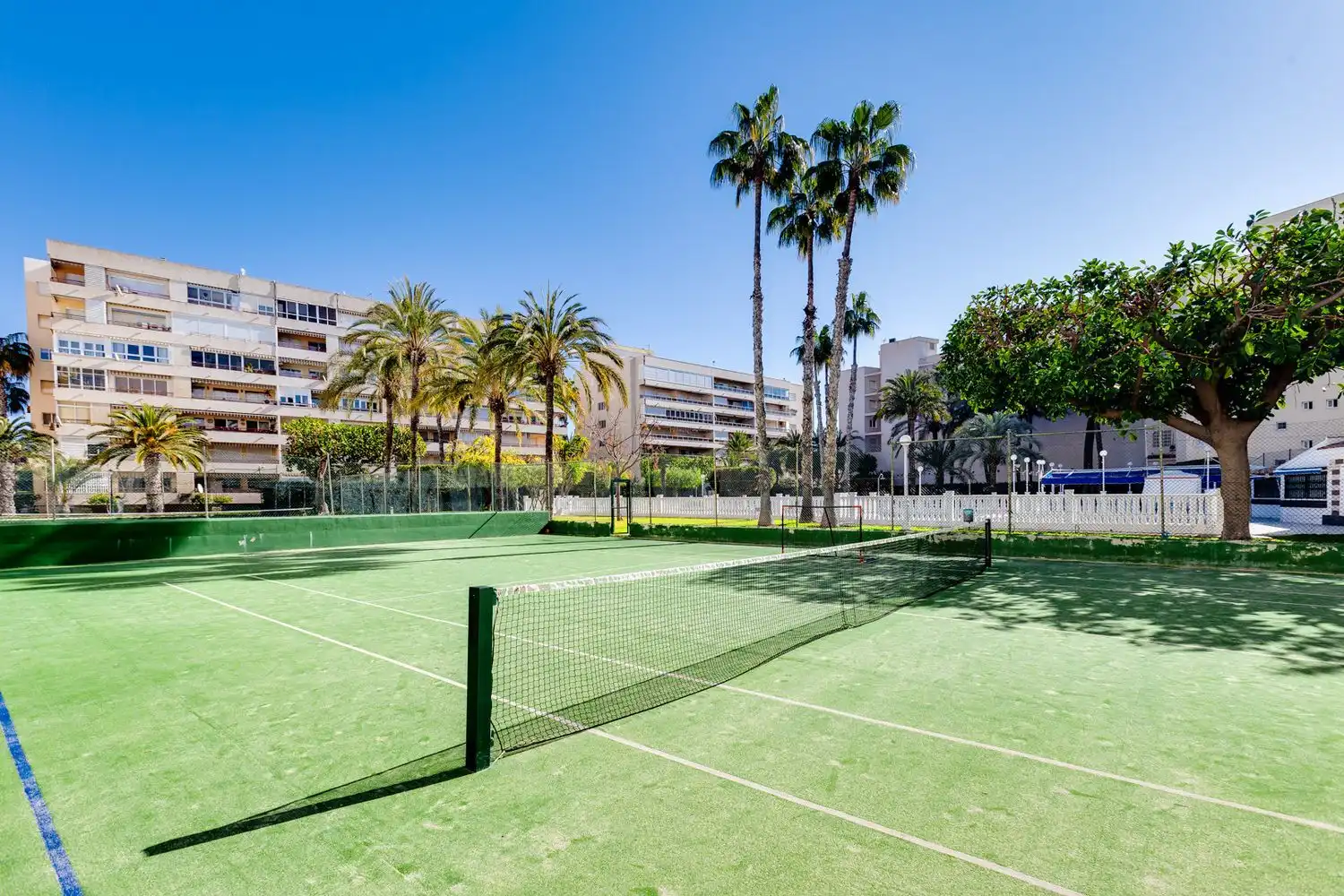 Vista exterior de Pis en venda en Torrevieja amb Aire condicionat, Terrassa i Moblat
