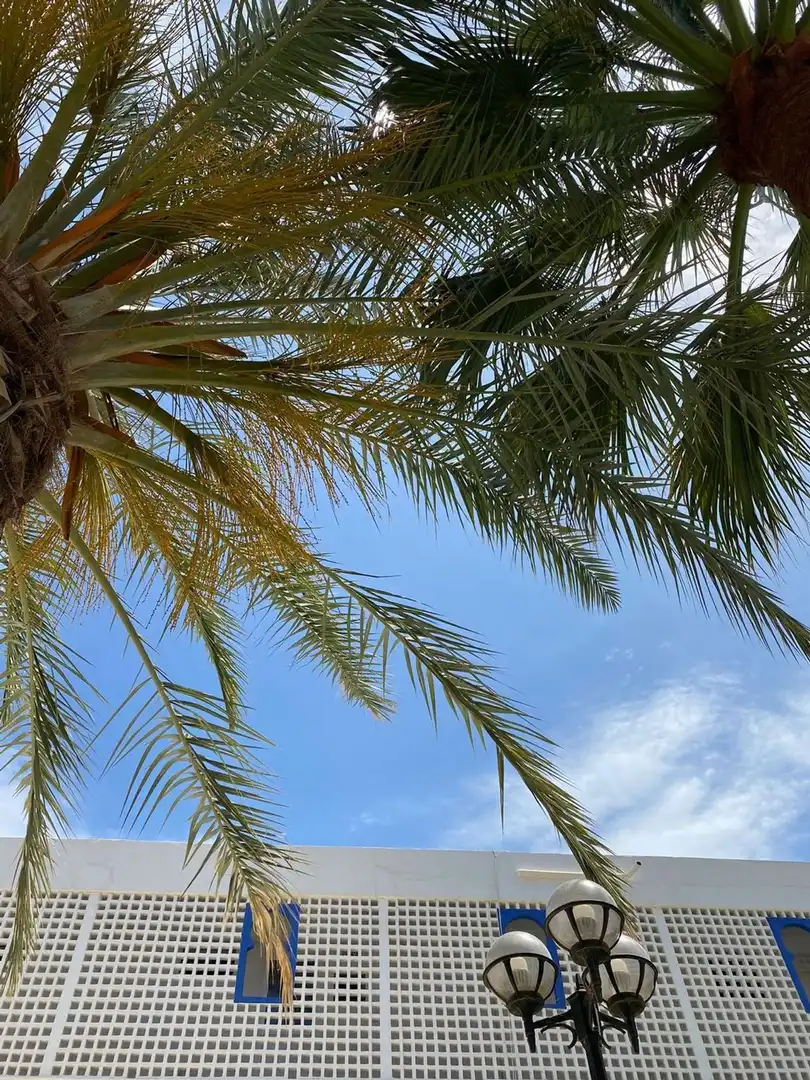Vista exterior de Ático en venta en Mojácar con Terraza, Piscina y Amueblado