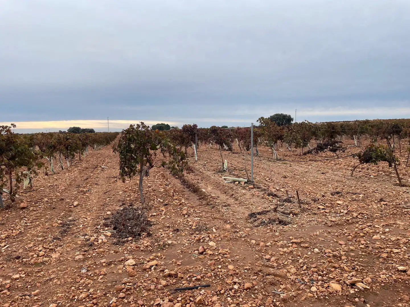 Terreno rustico in vendita a TO-2999 5, imagen 11