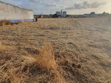 Terrain rustique à vendre à Polígono 132