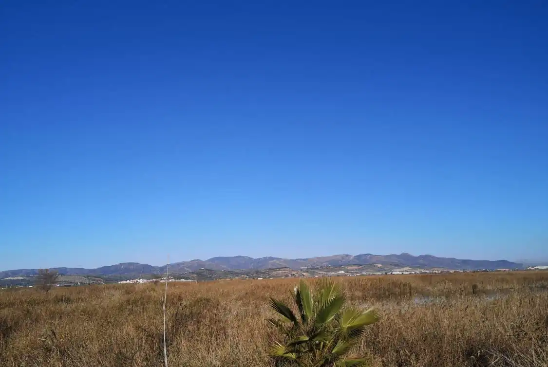 Rustikales Grundstück zum Verkauf in La Llosa, imagen 2