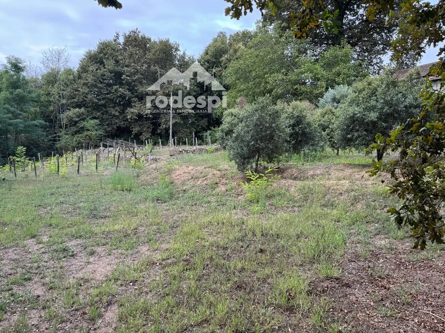 Others for sale in Cortegada, imagen 24