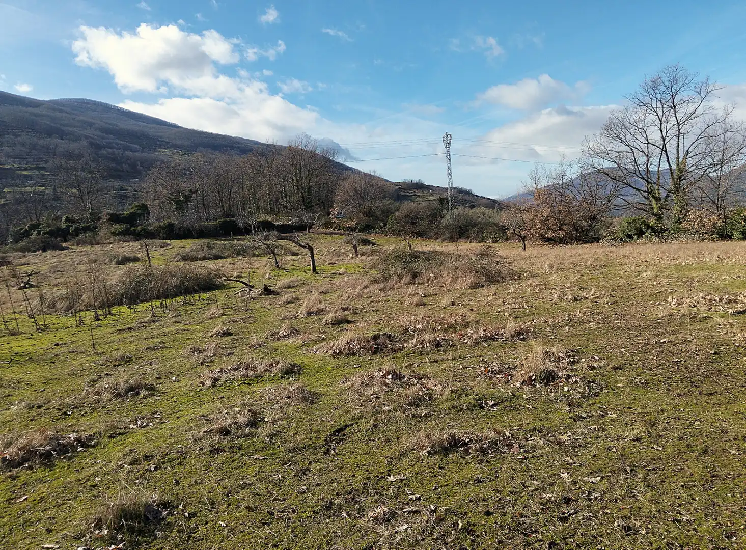 Terreno en venta en Casas del Castañar