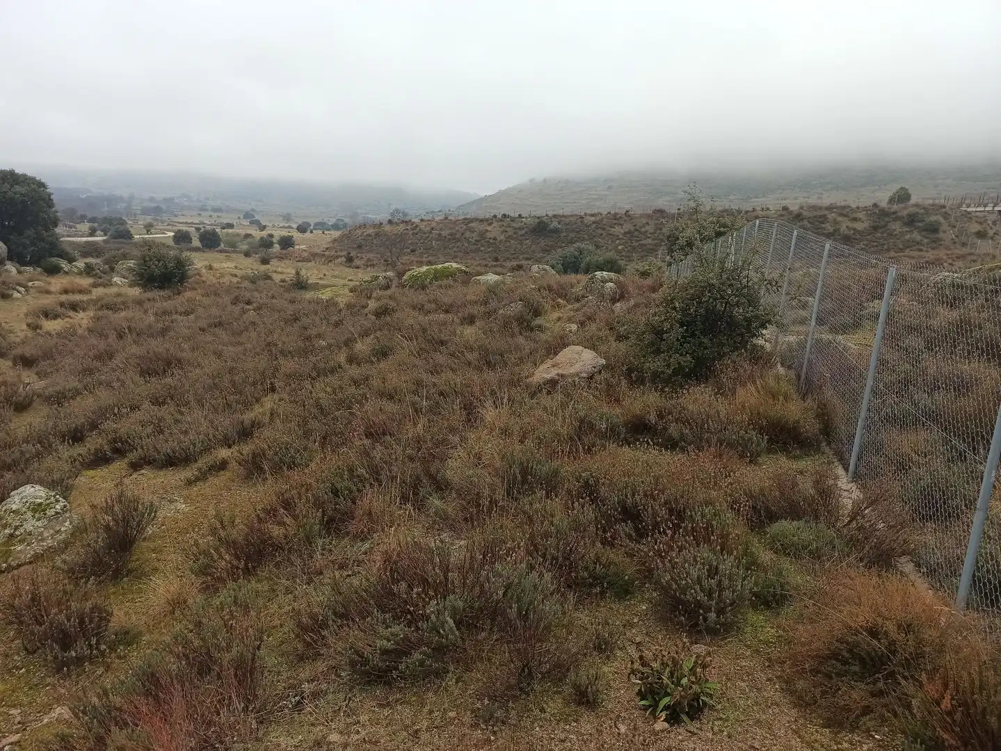 Terreno rustico in vendita a Zarzalejo, imagen 14