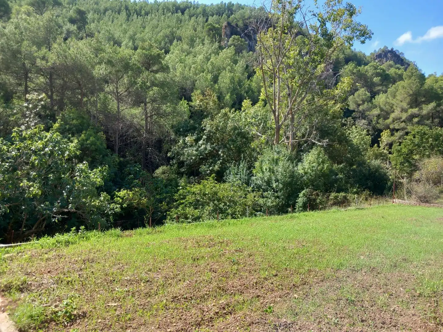 House with pool for sale in Torrelles de Foix, imagen 39