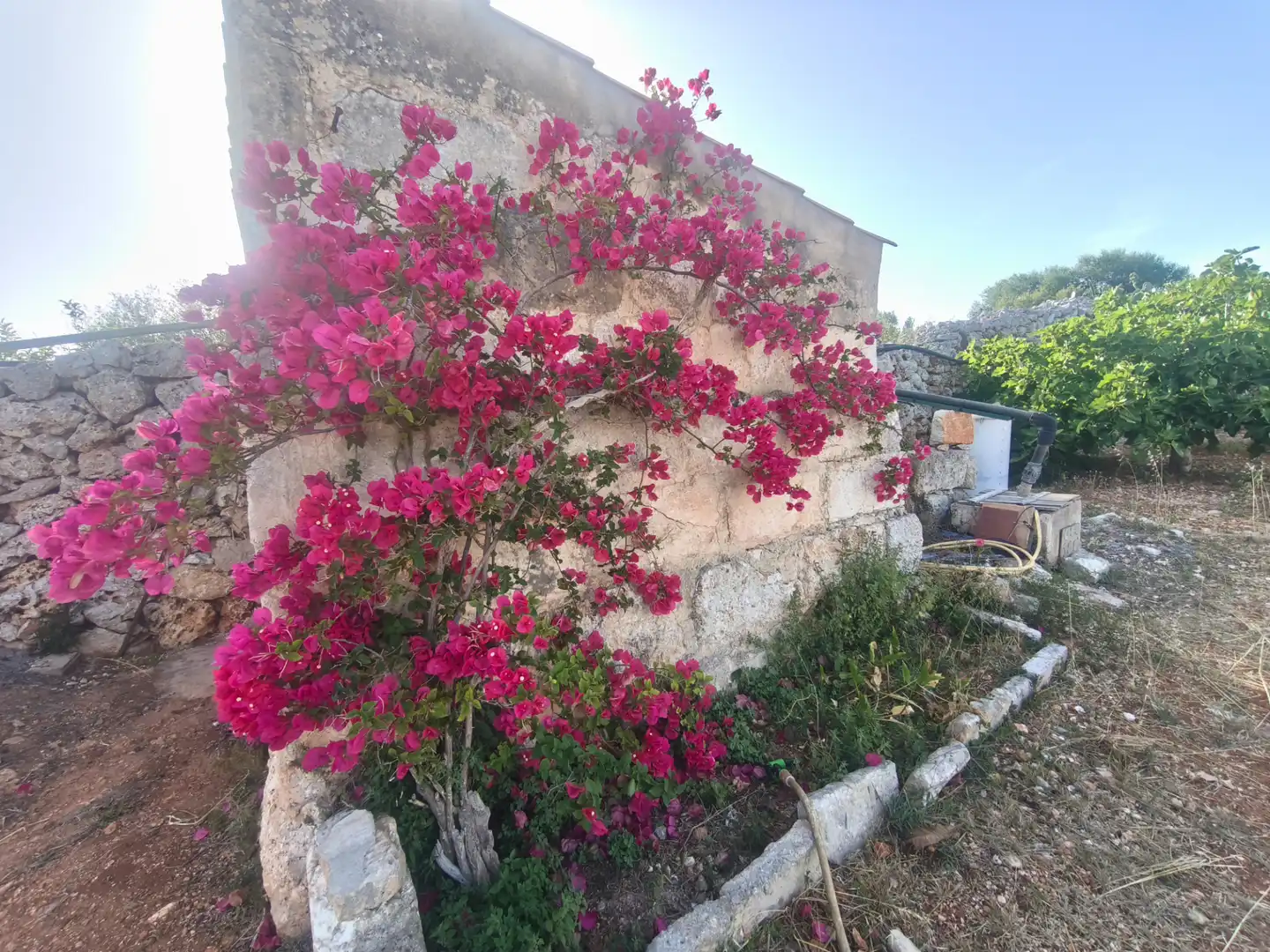 Casa rústica amb jardí en venda a Sant Lluís - S'Ullestrar - Torret, imagen 22