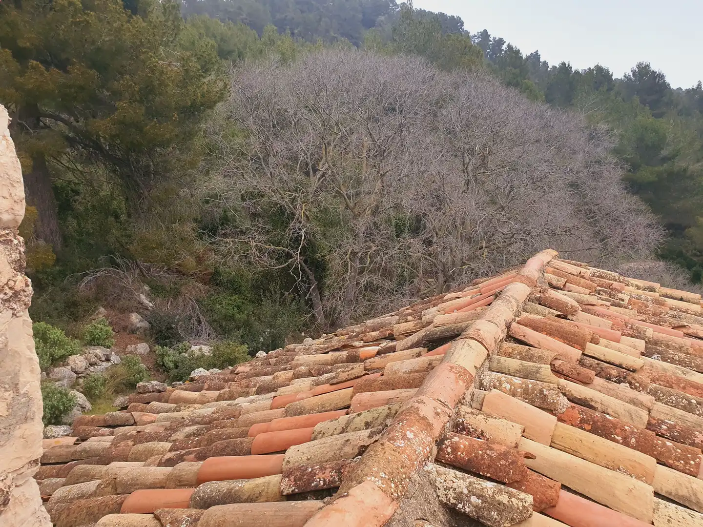 House for sale in Tivissa, imagen 40