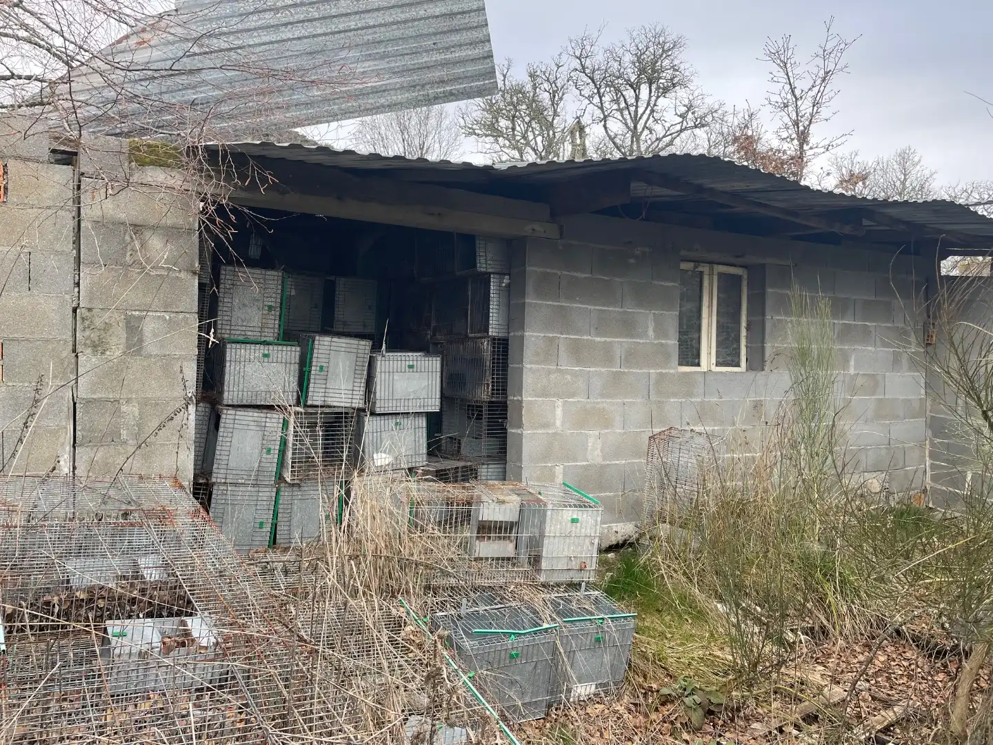 Exterior view of Land for sale in Baltar