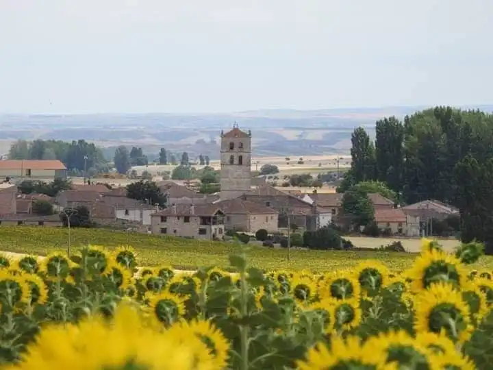 Exterior view of Residential for sale in Cedillo de la Torre