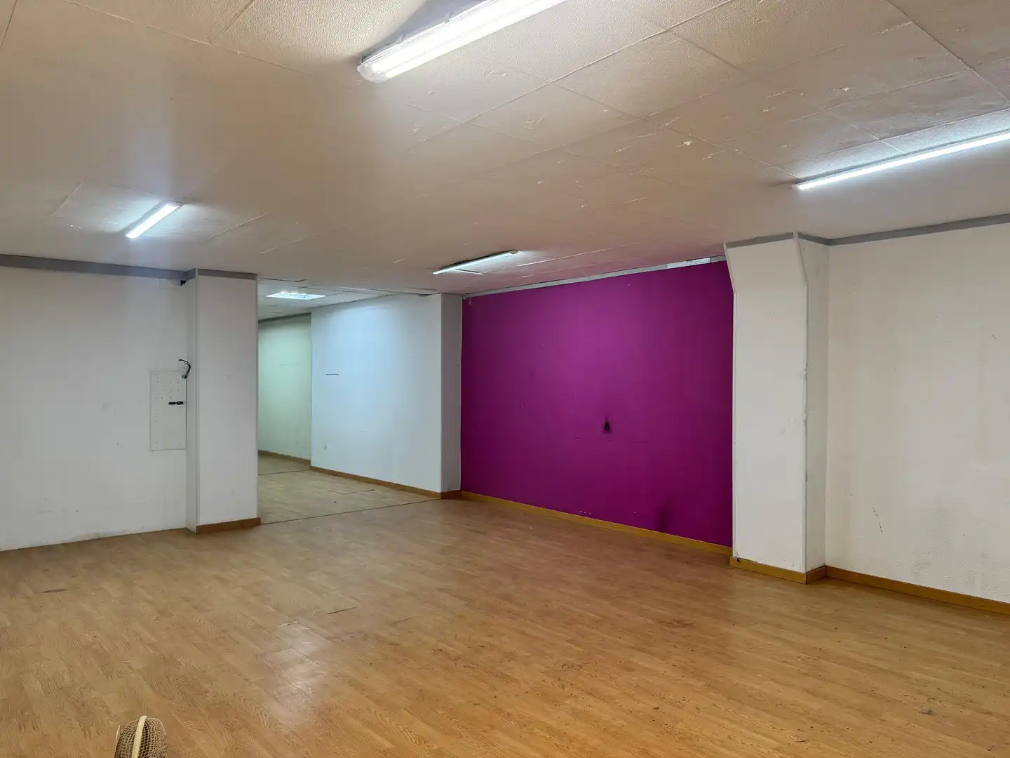 Local comercial en venta en Bellvitge - El Gornal - Granvia LH, imagen 4
