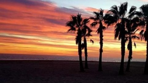 Villa exclusiva cerca del mar en Els Masos de El Vendrell, immagine 2