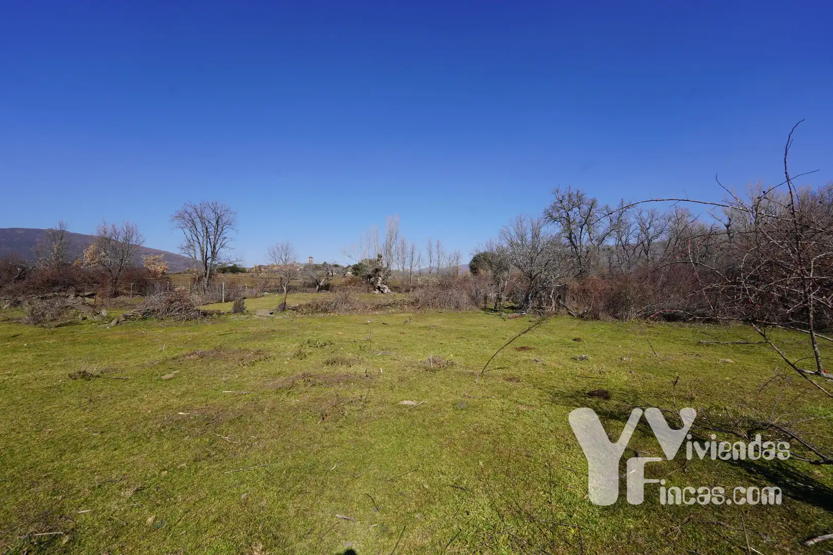 Terreno rústico en venta en Campillo de Ranas, imagen 4