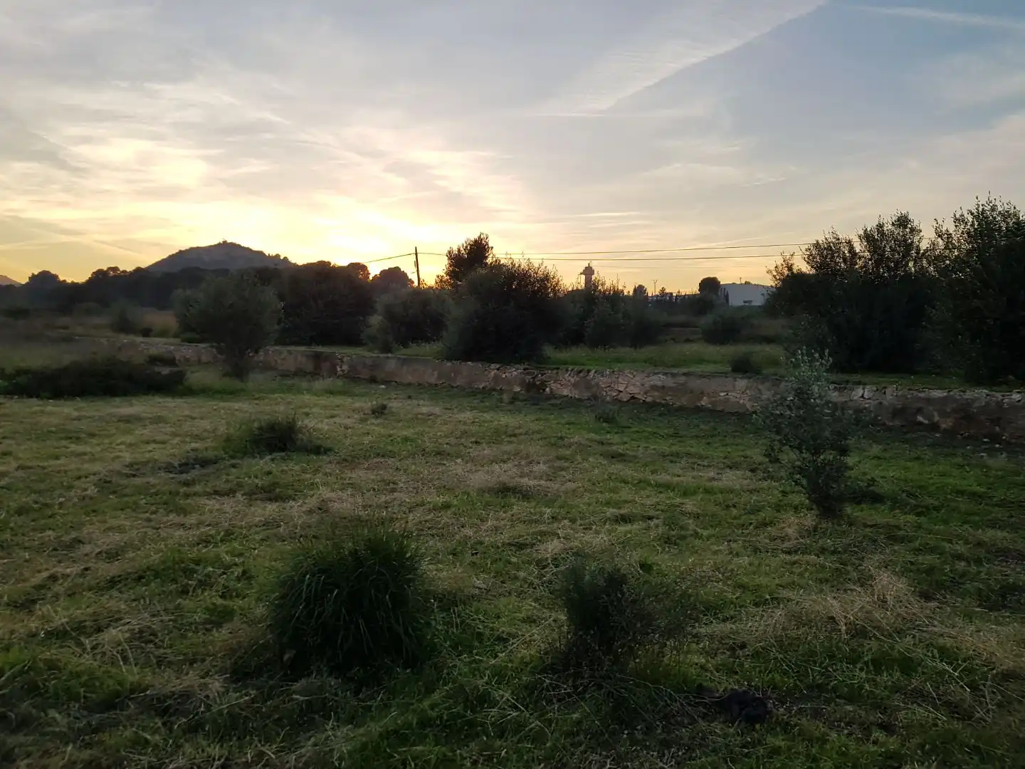 Grundstücke zur Miete in Riba-roja de Túria