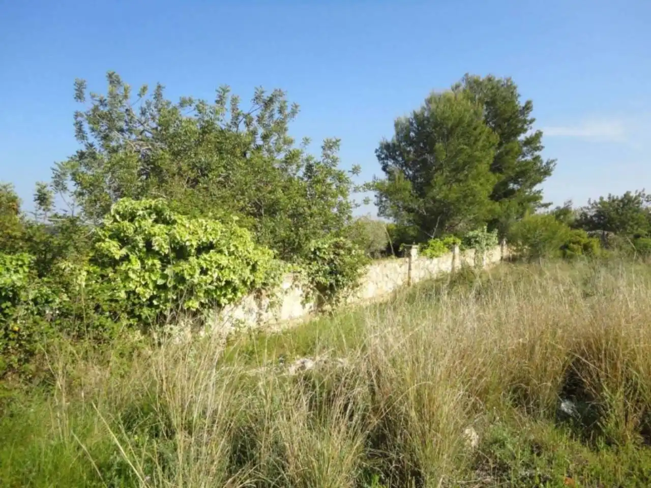 Terreny residencial en venda a Carretera Clarà 00, imagen 11