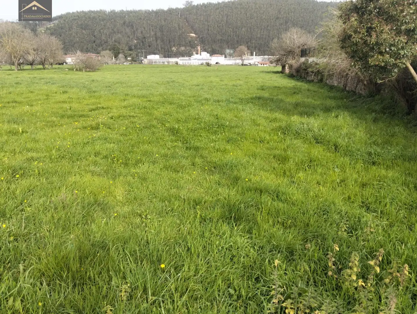 Terreny residencial en venda a Cabezón de la Sal, imagen 4