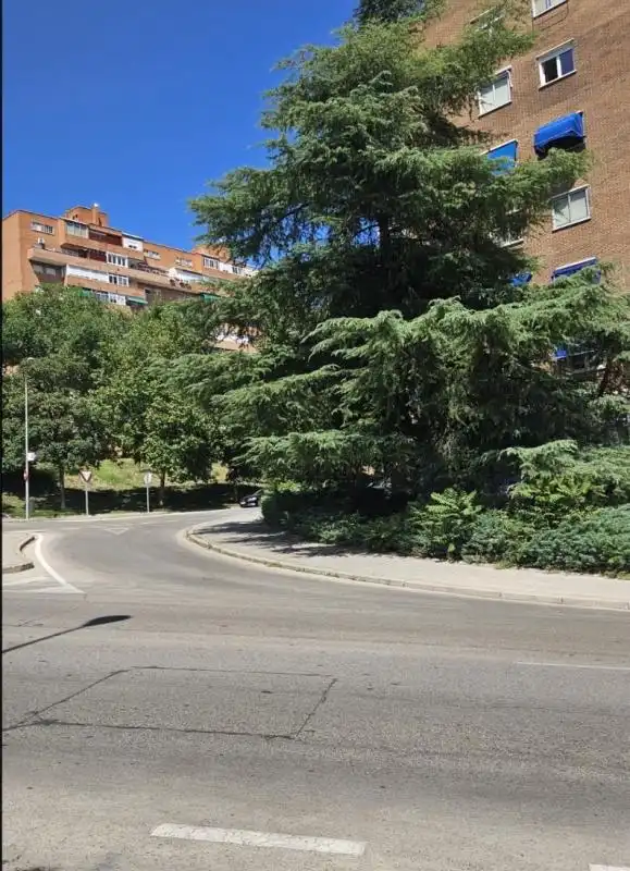 Vista exterior de Loft de alquiler en Madrid con Calefacción, Terraza y Balcón