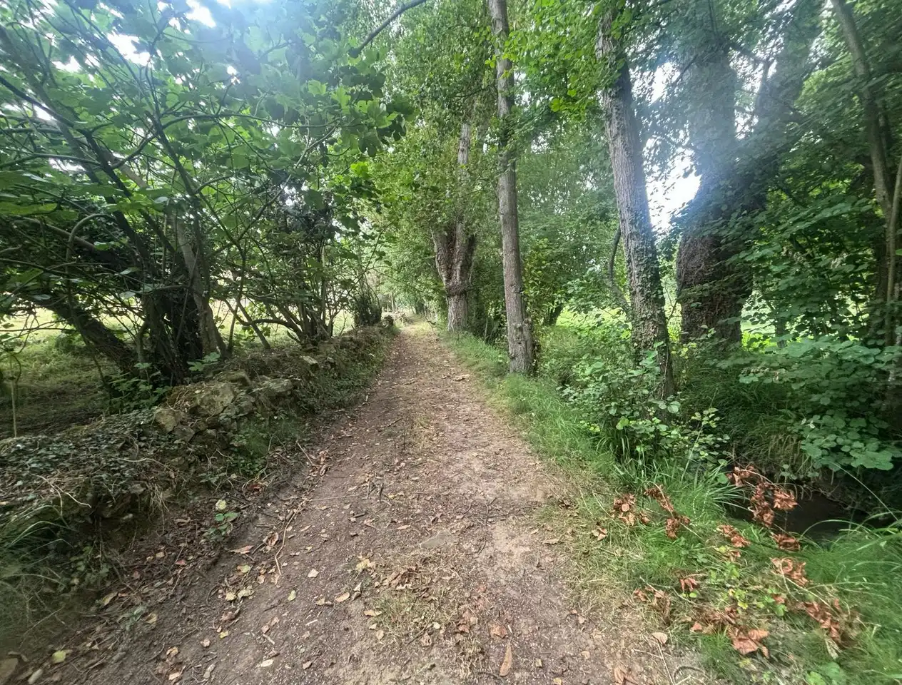 Finca rústica en venda en Gijón  amb Jardí privat
