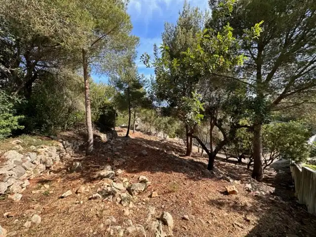 Terreny residencial en venda a El Montgó, imagen 4
