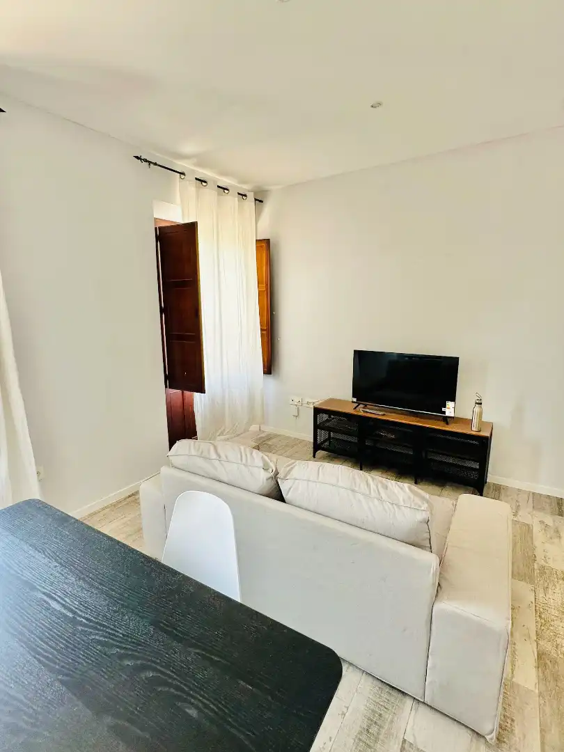 Living room of Flat for rent in Granada  with Parquet flooring, Furnished and Washing machine