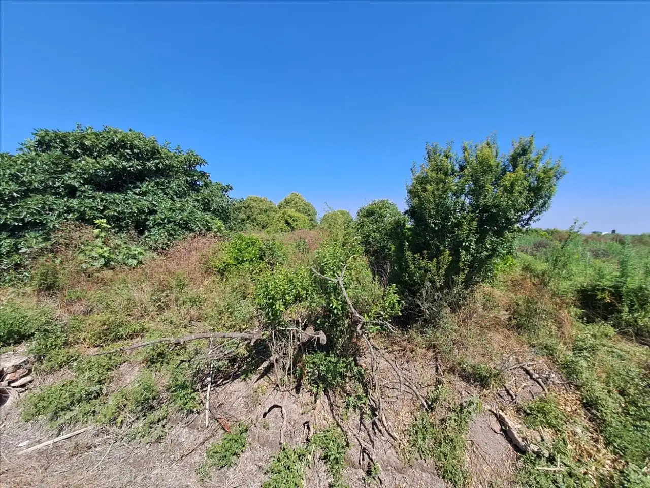 Terreny residencial en venda a POLÍGONO 3, imagen 3