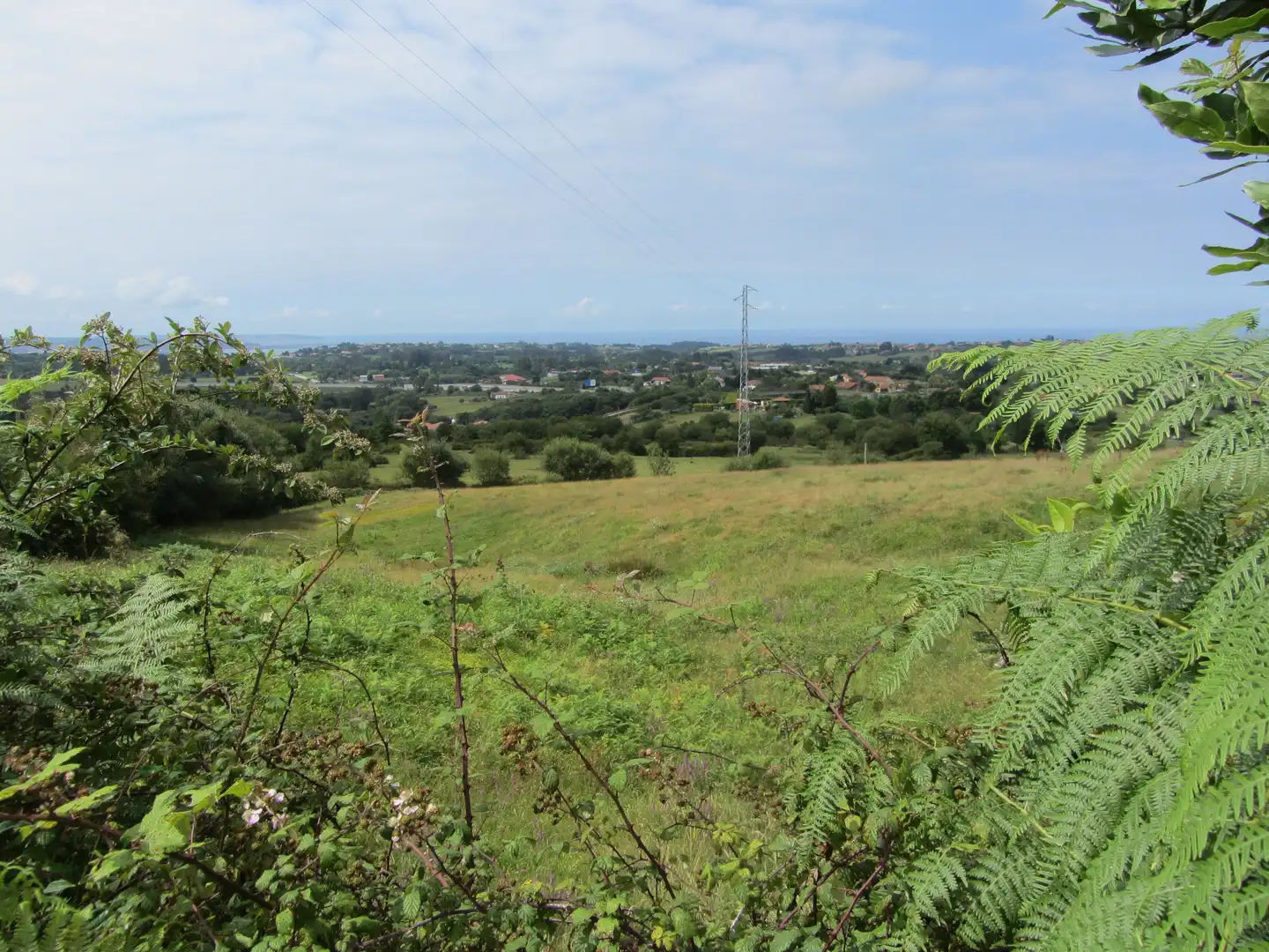 Terreny residencial en venda a Camin de los Payares, imagen 54