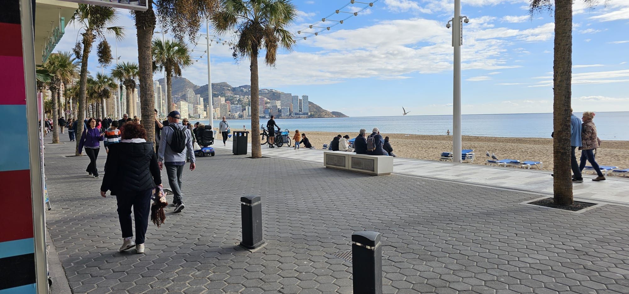 Vista exterior de Apartament en venda en Benidorm amb Aire condicionat, Parquet i Moblat