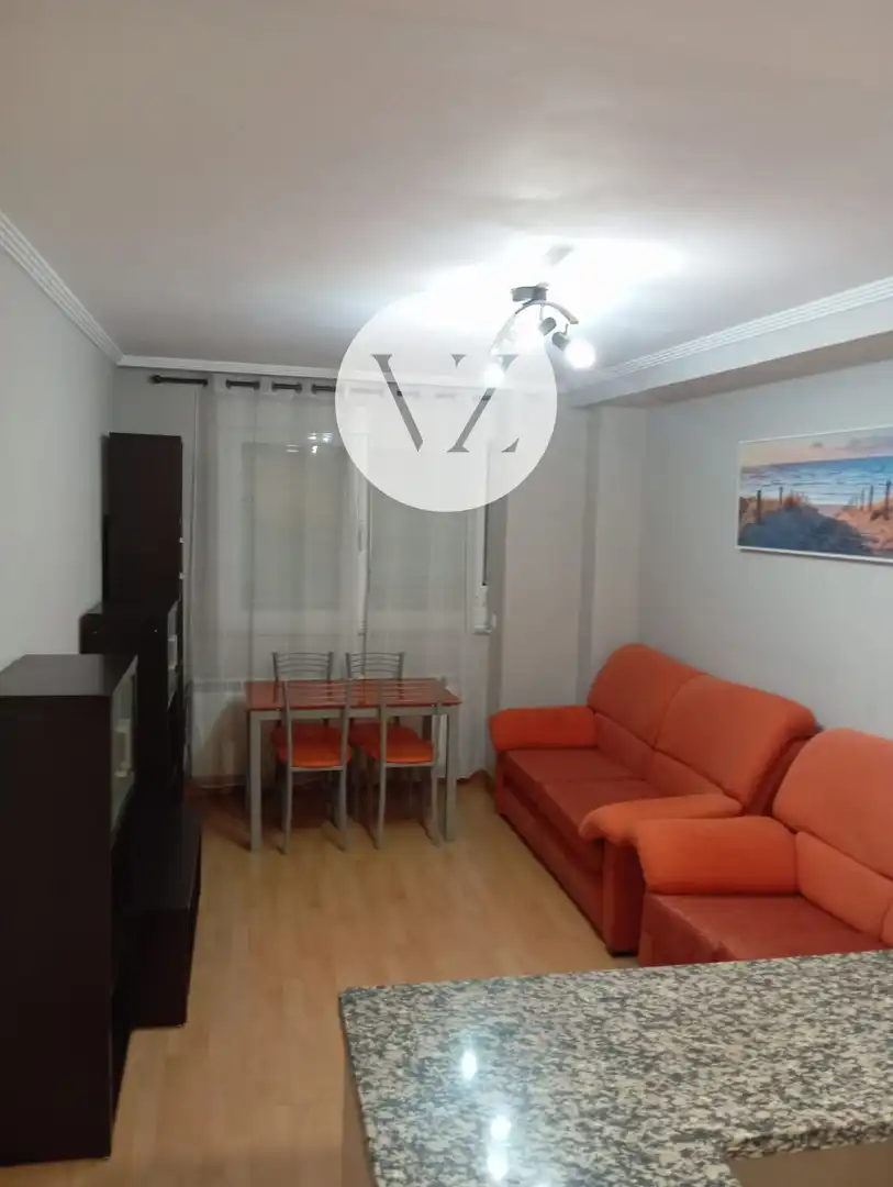 Sala d'estar de Apartament de lloguer en Salamanca amb Calefacció, Terrassa i Moblat