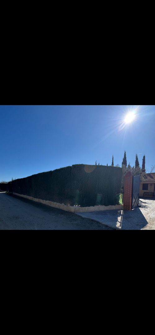 Jardí de Residencial en venda en Antequera