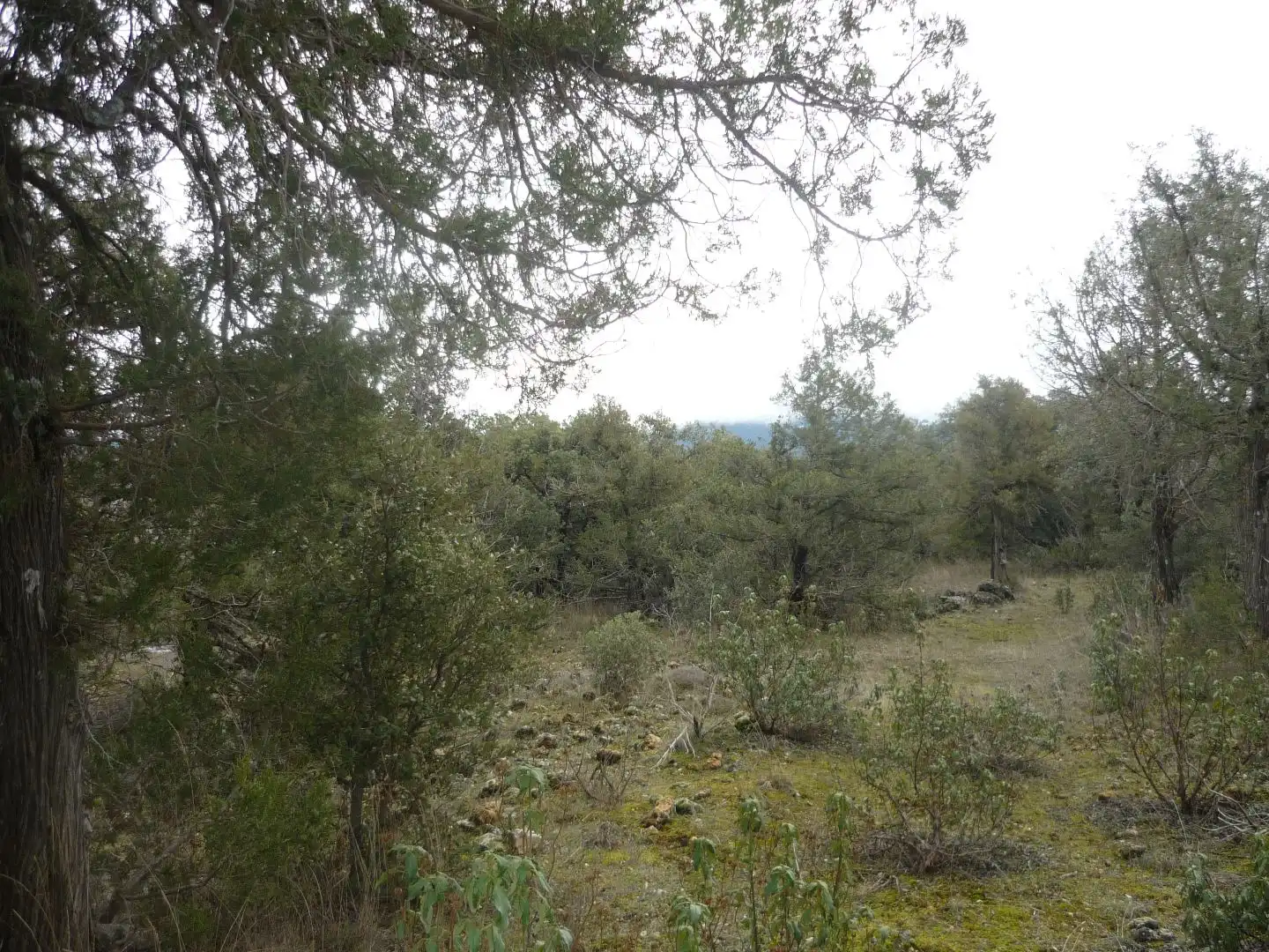 Terreno en venta en Pedraza