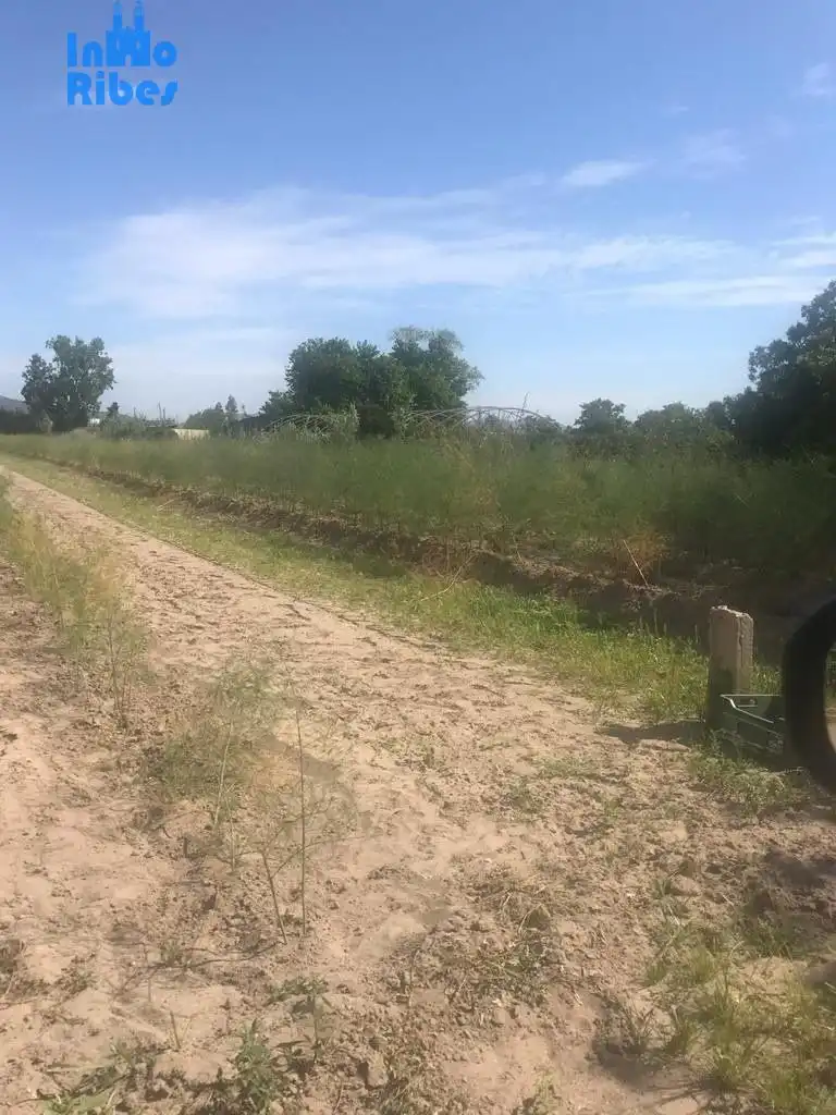 Terreny rústic en venda a Gavà Mar, imagen 5
