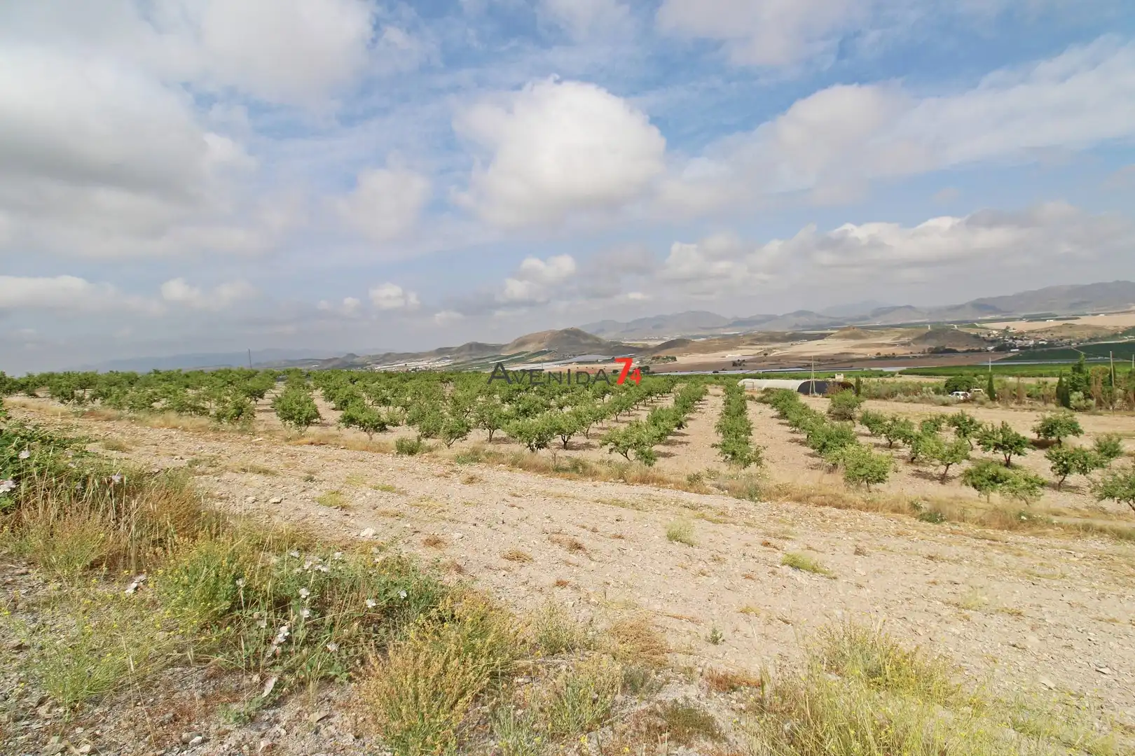 Terrains et parcelles à vendre à Pedanías Sur, imagen 10