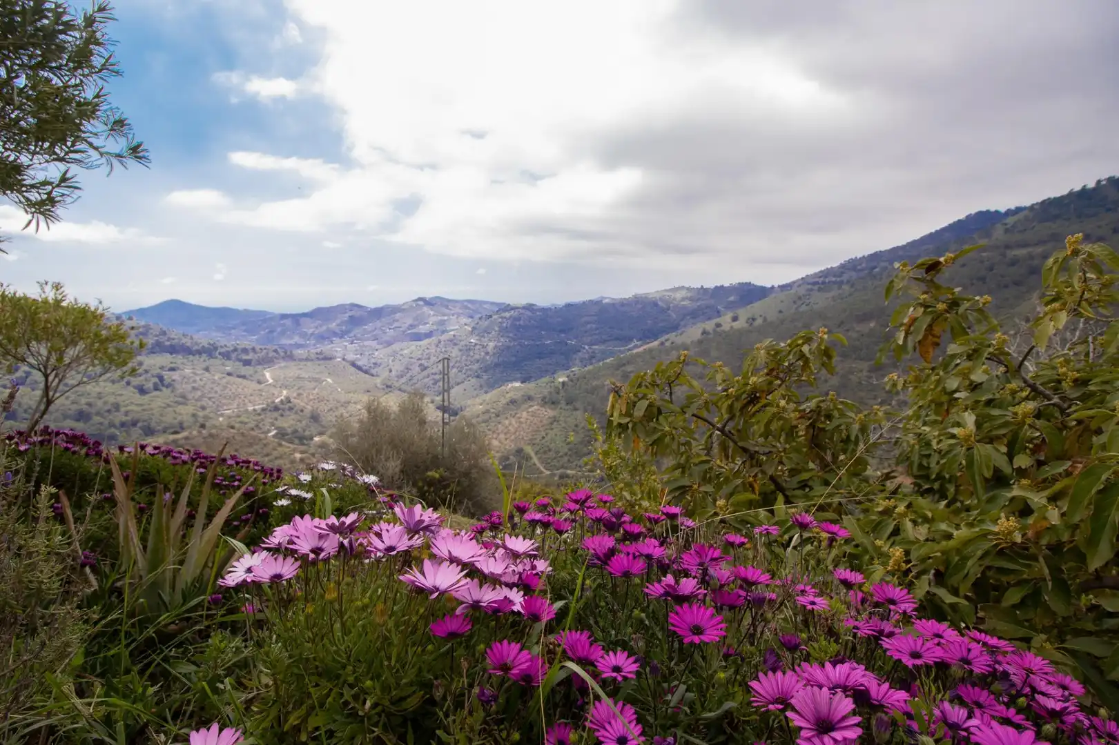 Jardí de Casa o xalet en venda en Canillas de Albaida