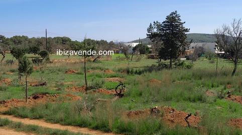 Photo 4 of Land for sale in Es Canar, Sant Carles, Illes Balears