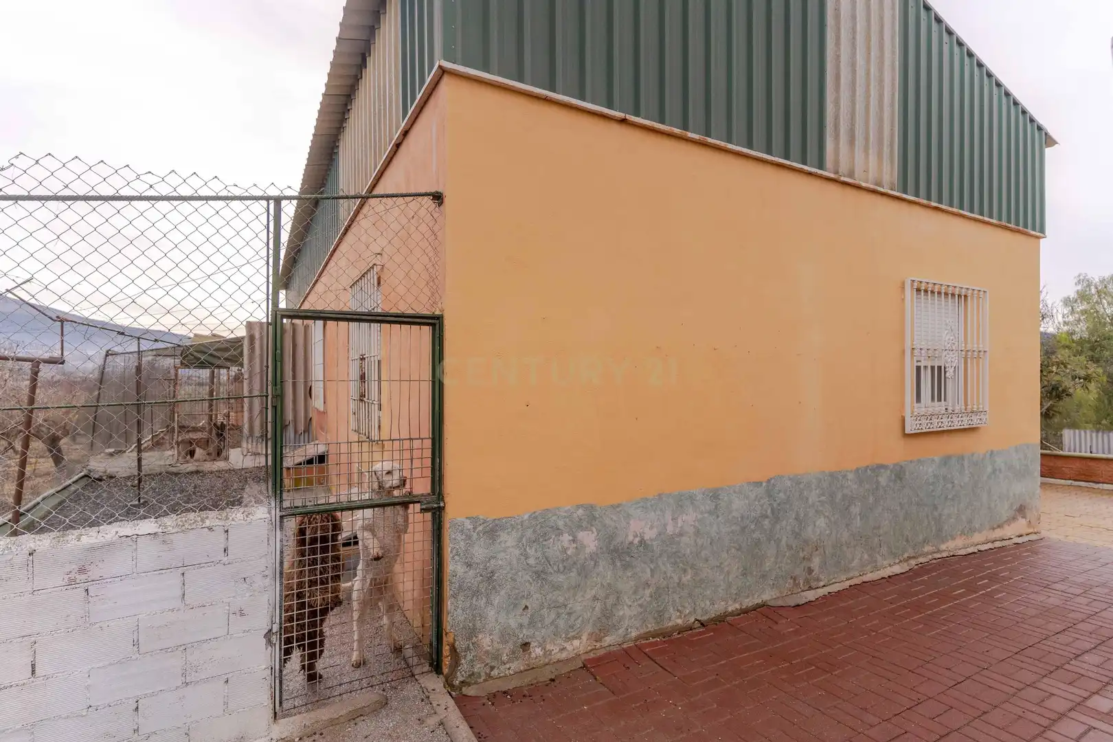 Vista exterior de Casa o chalet en venta en Dúrcal con Jardín privado