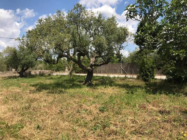 Terreno residencial en Venta en Carrer J en Puigpelat