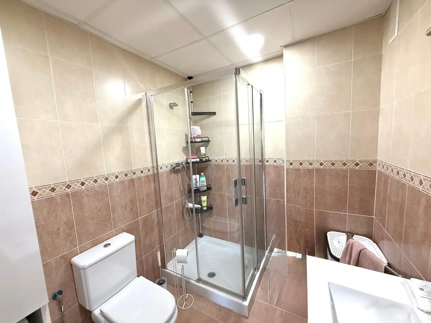 Bathroom of Flat for sale in Parauta  with Terrace, Storage room and Furnished