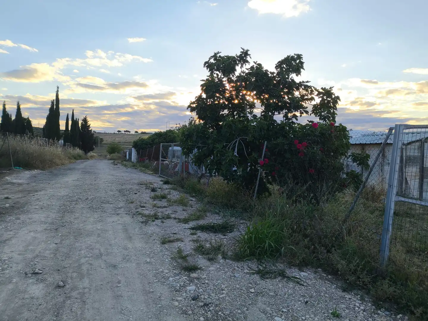 Terreni e lotti in vendita a Mengíbar, imagen 5