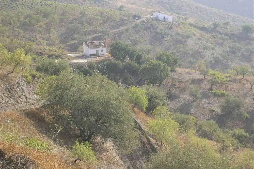 Terreno rústico en venta en Sedella, imagen 10